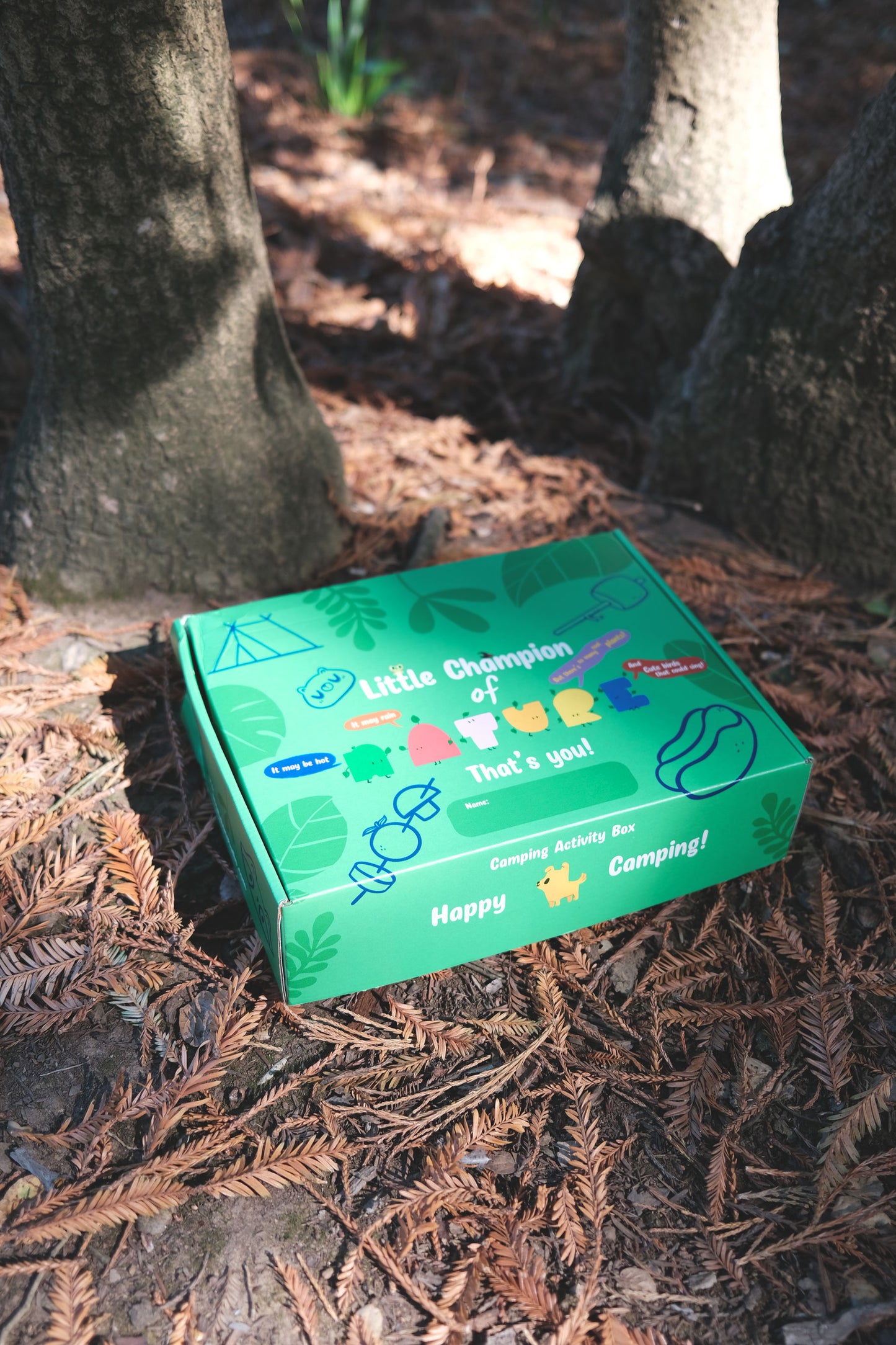Camping Activity Box